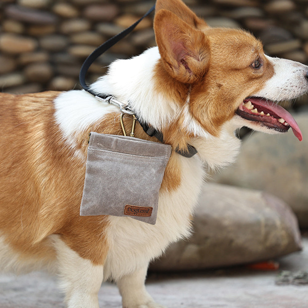 Walking Dog Snack Pocket with Carabiner Hands Free Pet Treat Bag Waist Pack Storage Pouch Dog Puppy Training Bag Food Reward